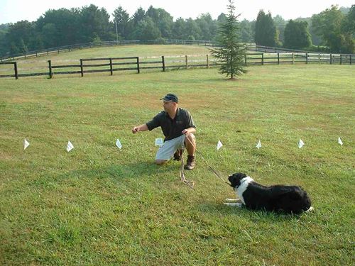 Invisible store fencing cost